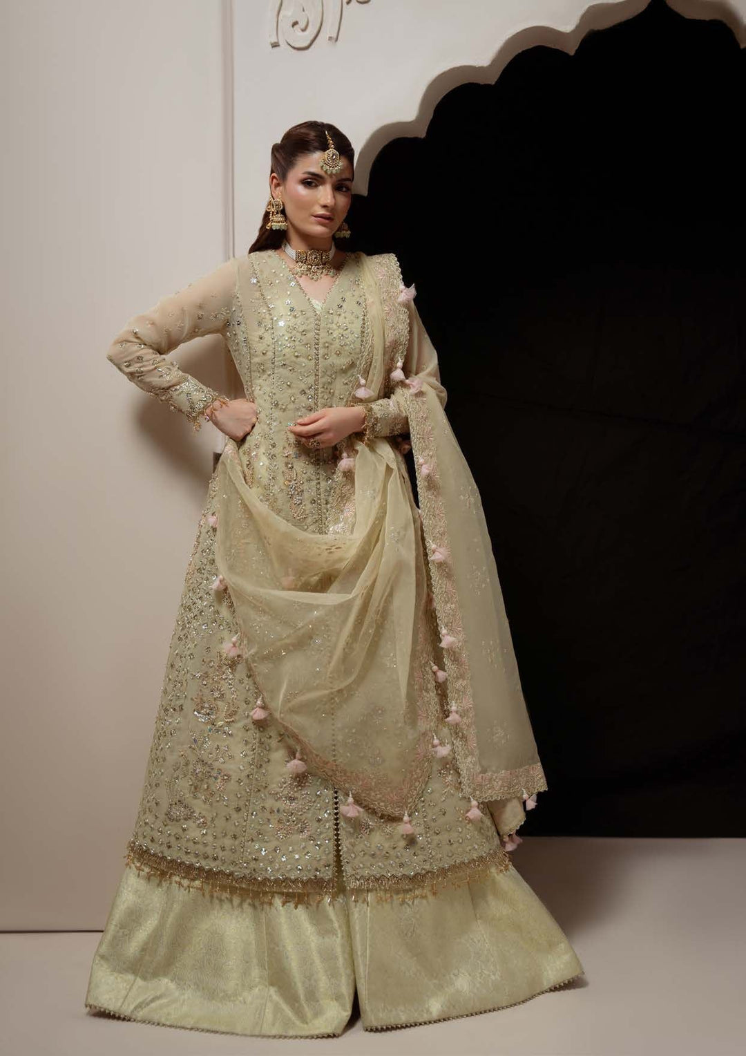 Reverie full length with the dupatta draped over the arm